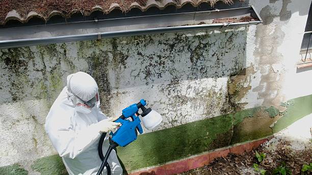 Top rated local Commercial Mold Remediation specialists in Lyons, OR